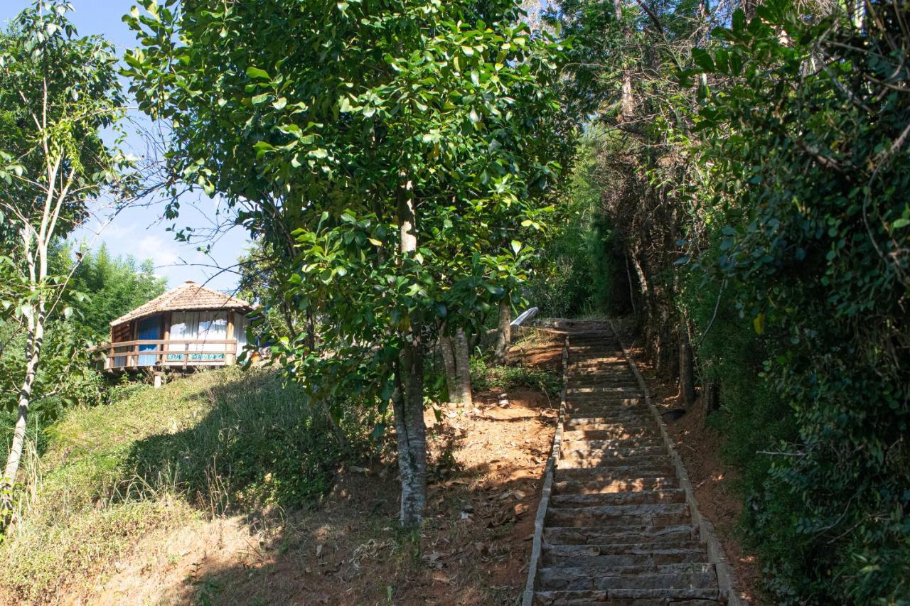 Deluxe Bungalow Garden View,1226193317:JPEG